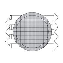 ocular micrometer scale